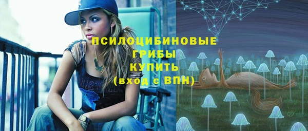 винт Алексеевка