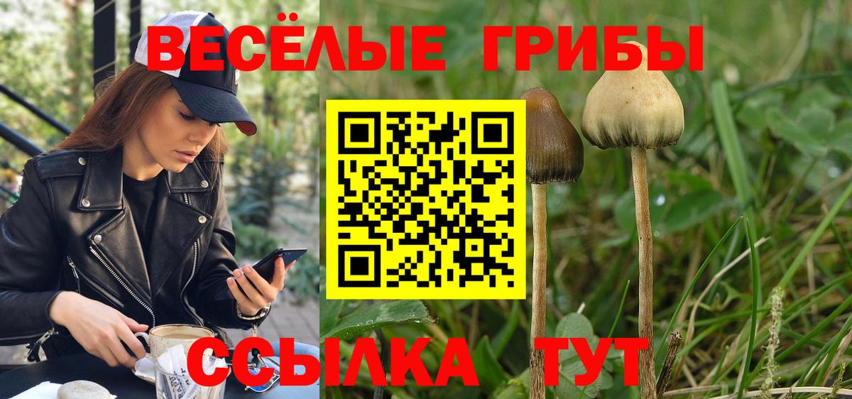 Мирный  Галлюциногенные грибы мухоморы  Вход с VPN 